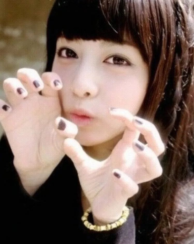 hth华体登录入口