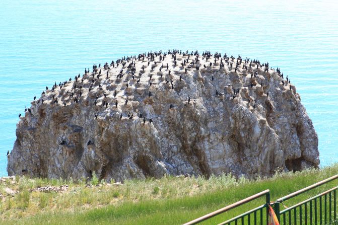 制造业升级成洋装备盛宴?实际情况是这样!:hth华体会(图1) hth华体会