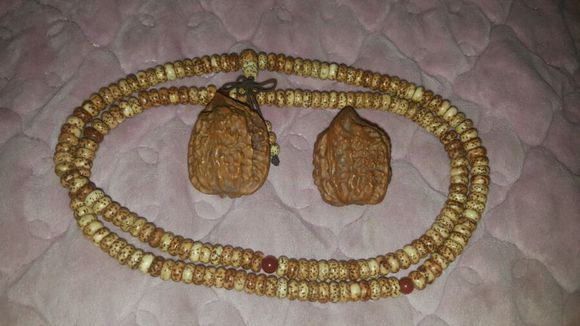 hth华体登录入口