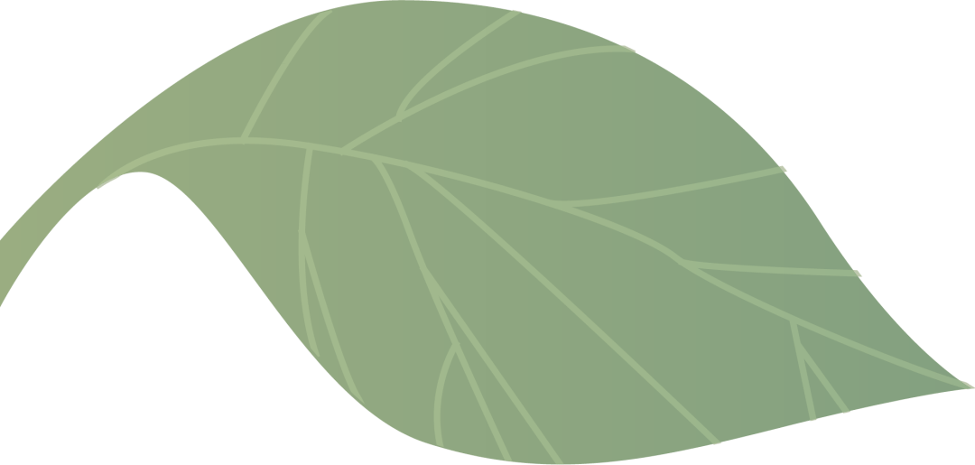 hth华体会|
运动预告丨“红周到”便民服务(图3)