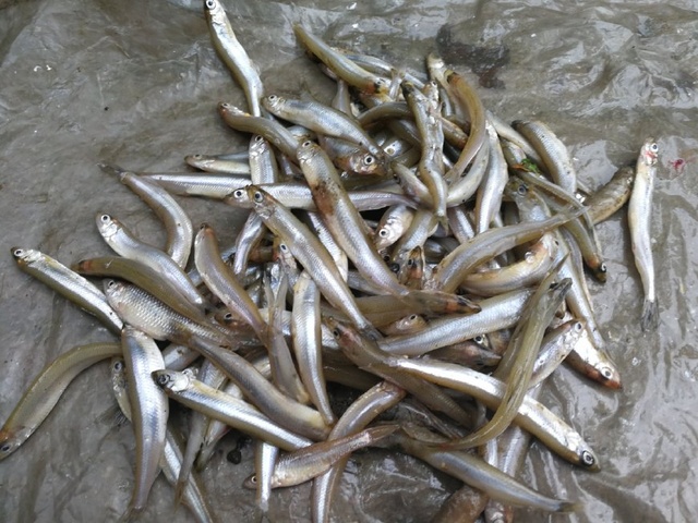 hth华体登录入口