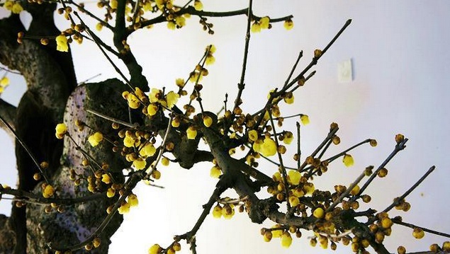 hth华体登录入口