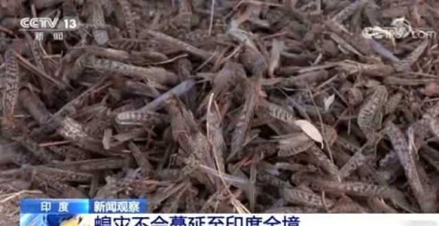 hth华体登录入口