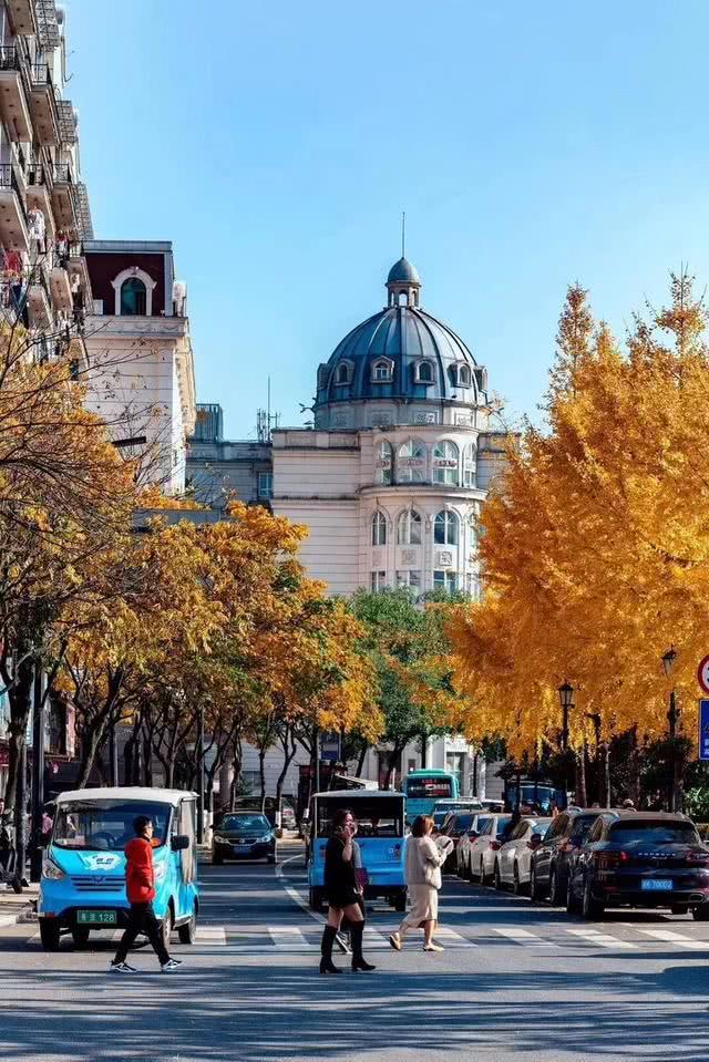 hth华体登录入口