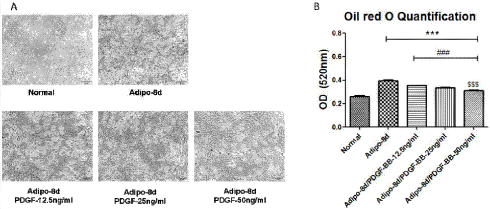 hth华体登录入口