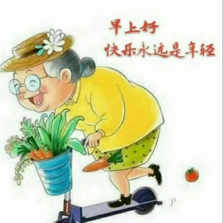 hth华体登录入口