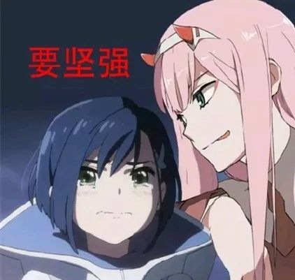 hth华体登录入口