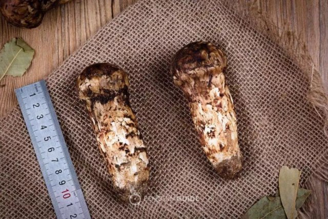 hth华体登录入口