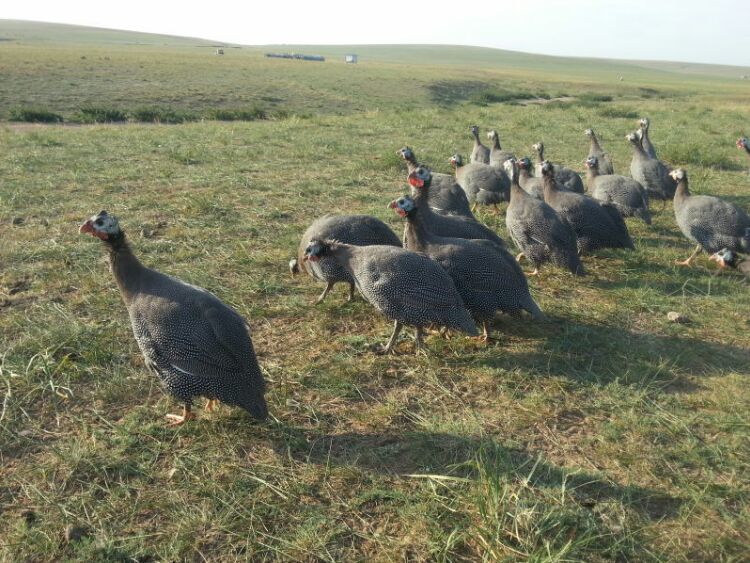 hth华体登录入口