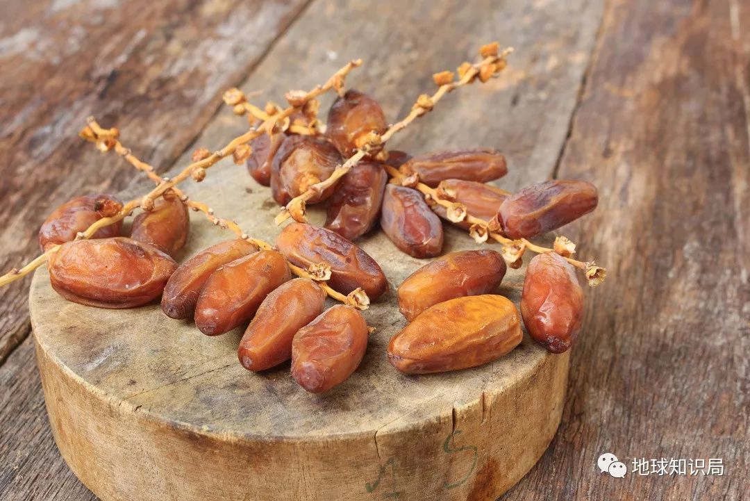 罗桐社区:乐龄老人喜迎重阳健身走_hth华体会(图2) hth华体登录入口