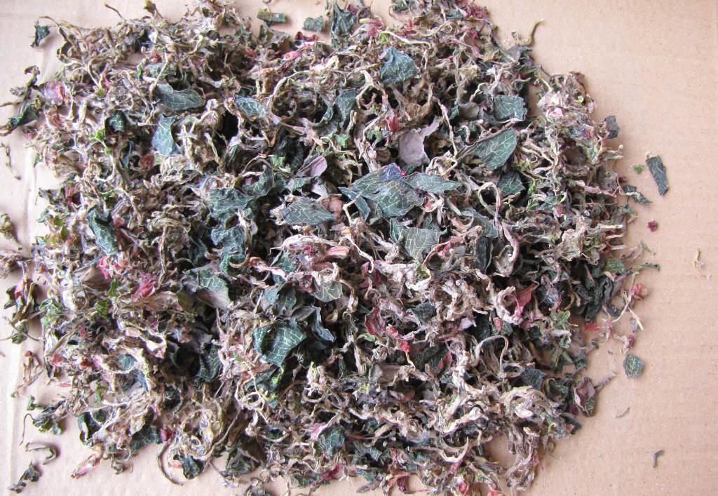 hth华体会|严陵社区走访慰问失独家庭(图3) hth华体会