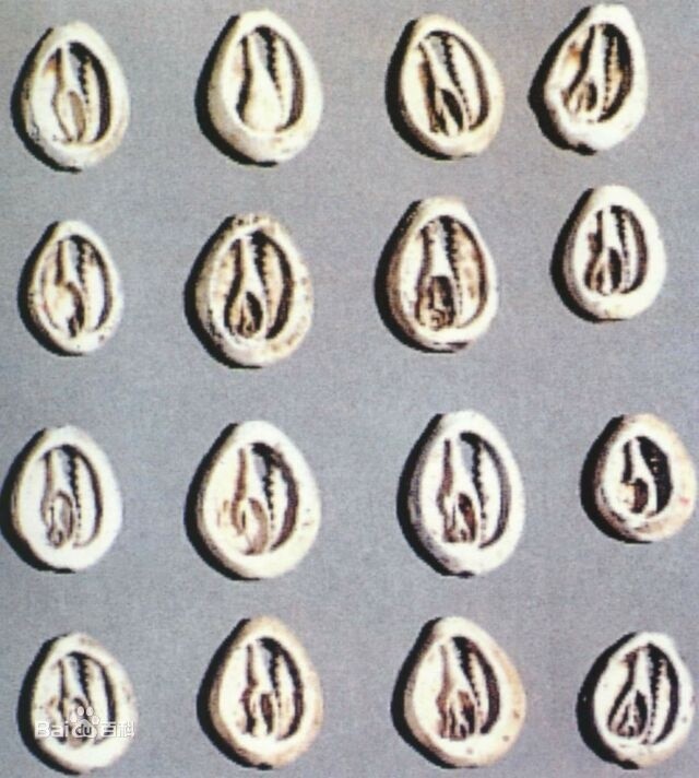 全国首个海绵城市建设技术创新联盟成立-hth华体登录入口(图1) hth华体登录入口