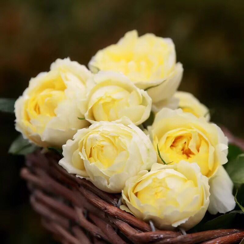 hth华体会-开封市实验幼儿园迎接开学第一天(图1) hth华体登录入口