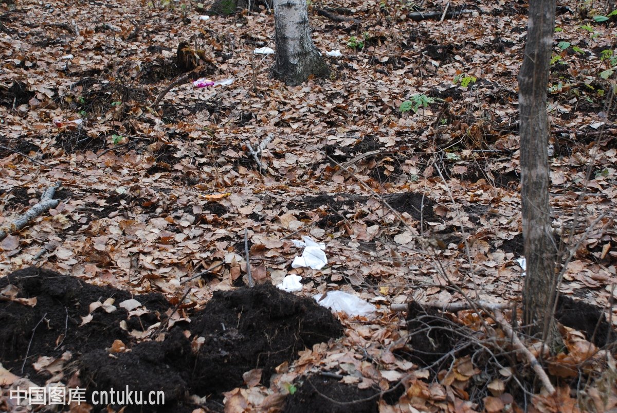 给孩子一个愉快的童年比什么都重要(亲子入园指导),入园‘hth华体会’(图3) hth华体会