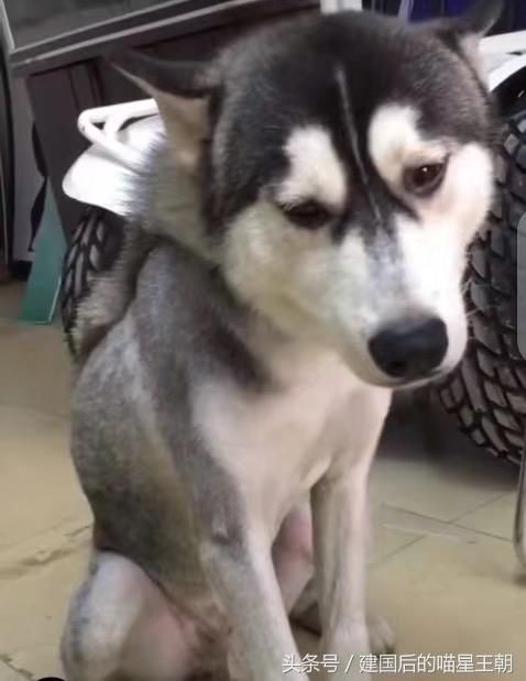 创意书雕:华丽的小世界“hth华体会”(图3) hth华体会