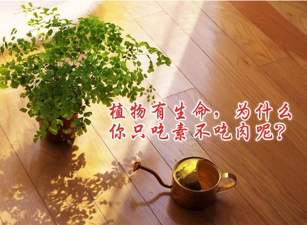 hth华体会|培养一个高情商的宝宝都需要注意些什么呢?(幼儿教育指导),早教(图2) hth华体登录入口