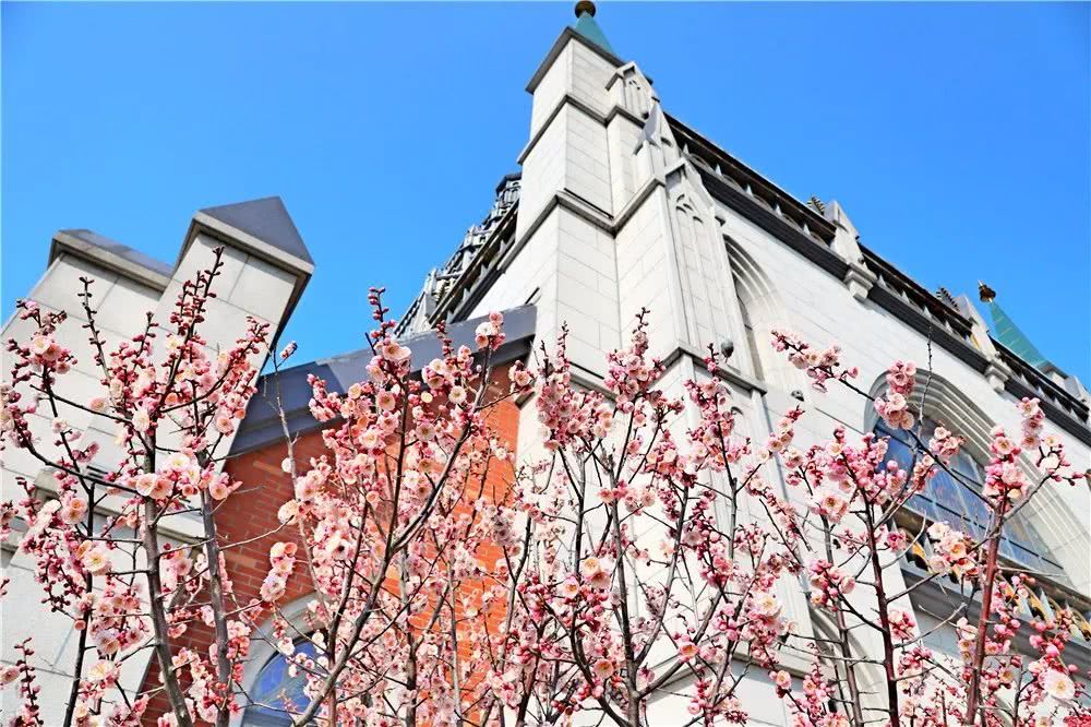 hth华体登录入口