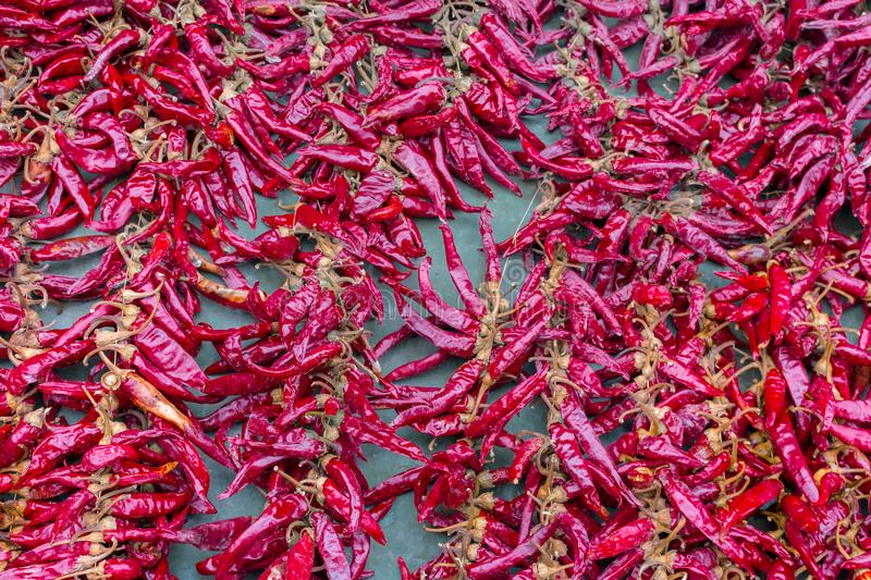 hth华体登录入口