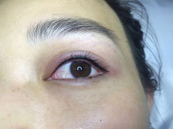 hth华体登录入口