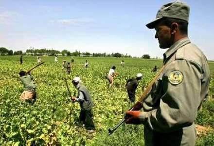 hth华体登录入口