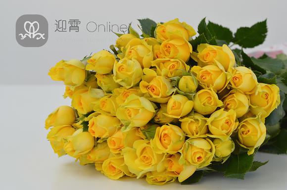 hth华体登录入口