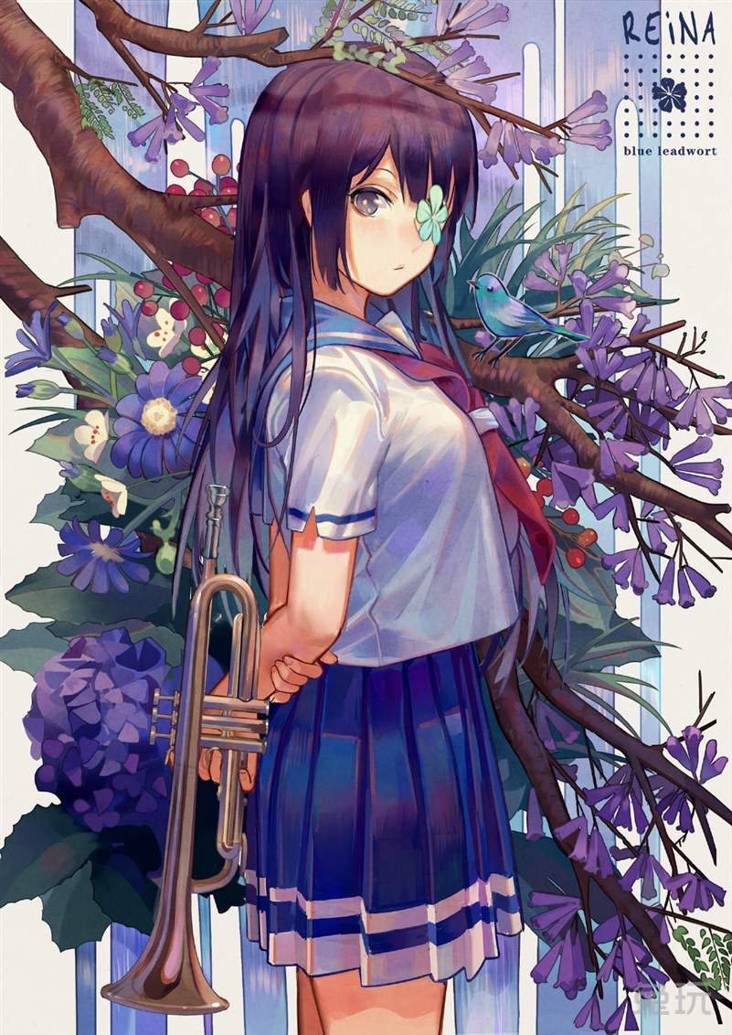 hth华体会