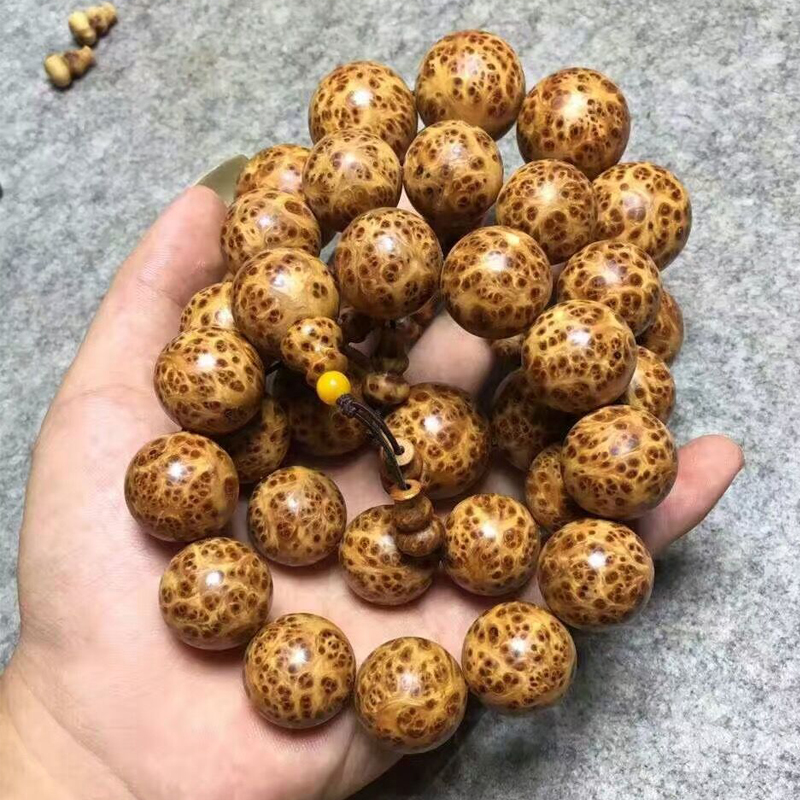 hth华体登录入口