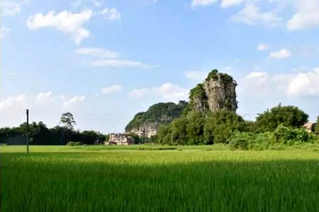 hth华体登录入口