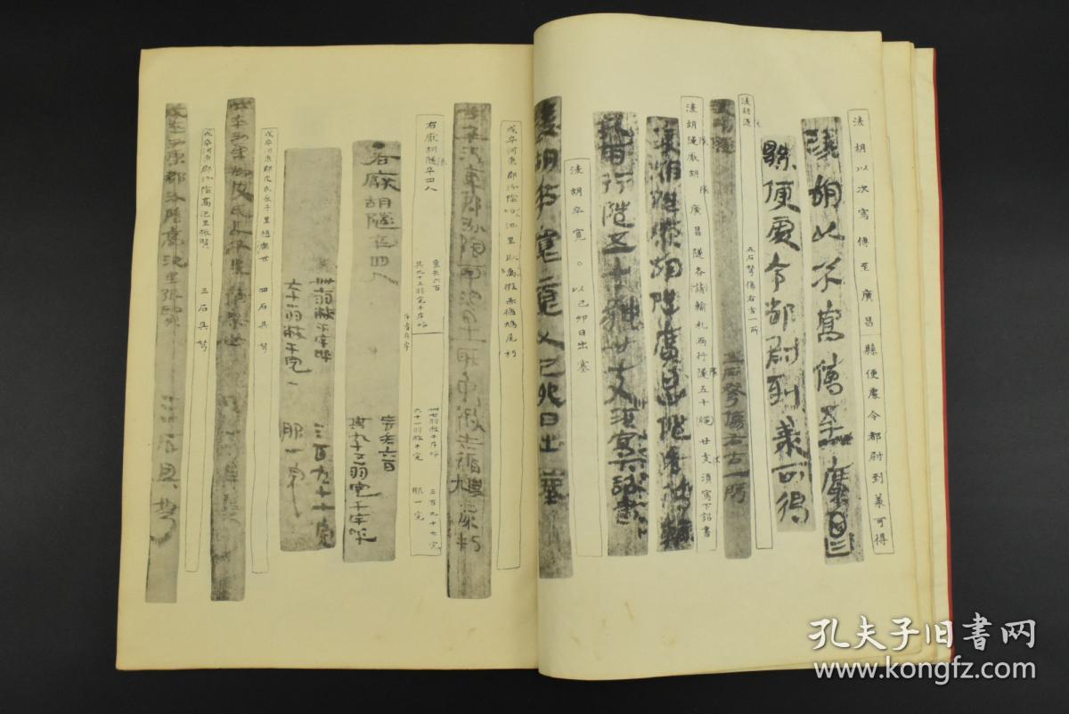 【hth华体登录入口】青海首次启动“中国野生动物之乡”命名活动(图2) hth华体会
